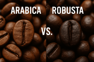 Vad är skillnaden mellan Arabica och Robusta? | Barista & Espresso - Barista och Espresso