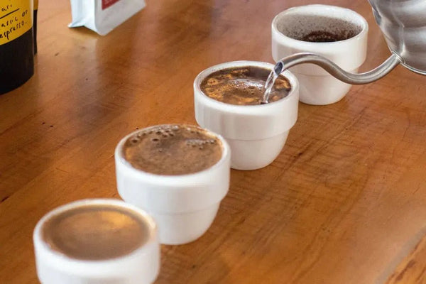 Cupping - Barista és Espresso