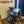 Fogantyúkészlet Sage Barista Touch Impress