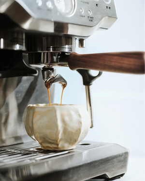 Handtagsset för Sage Barista Express, Pro & Touch - Barista och Espresso